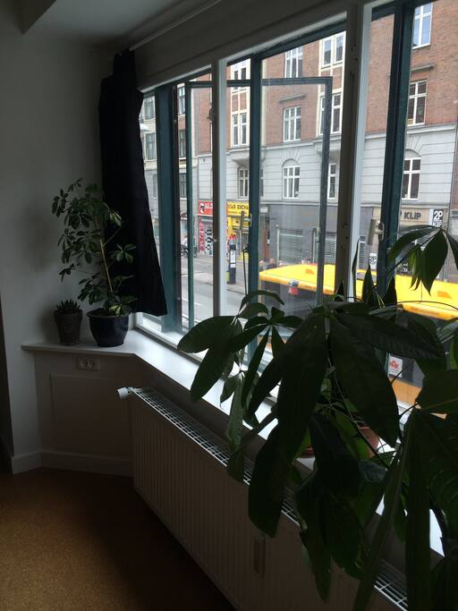 A view of Nørrebrogade from the large, sunny window. The 5C stops directly out front of our apartment, easily connecting you to the rest of the city.