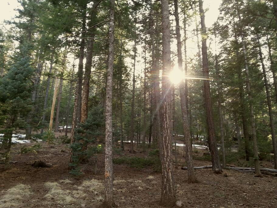 View from back deck