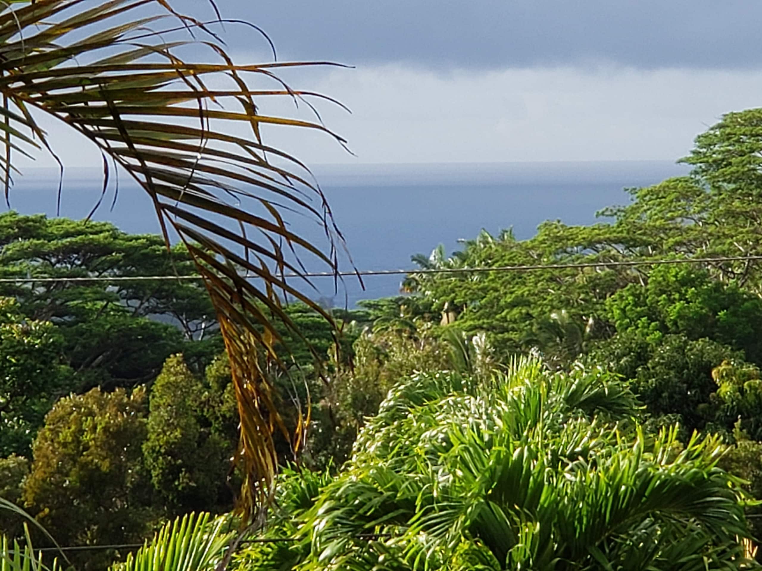 Private Country Cottage, Ocean View, A/C, Hana Hwy - Photo 24