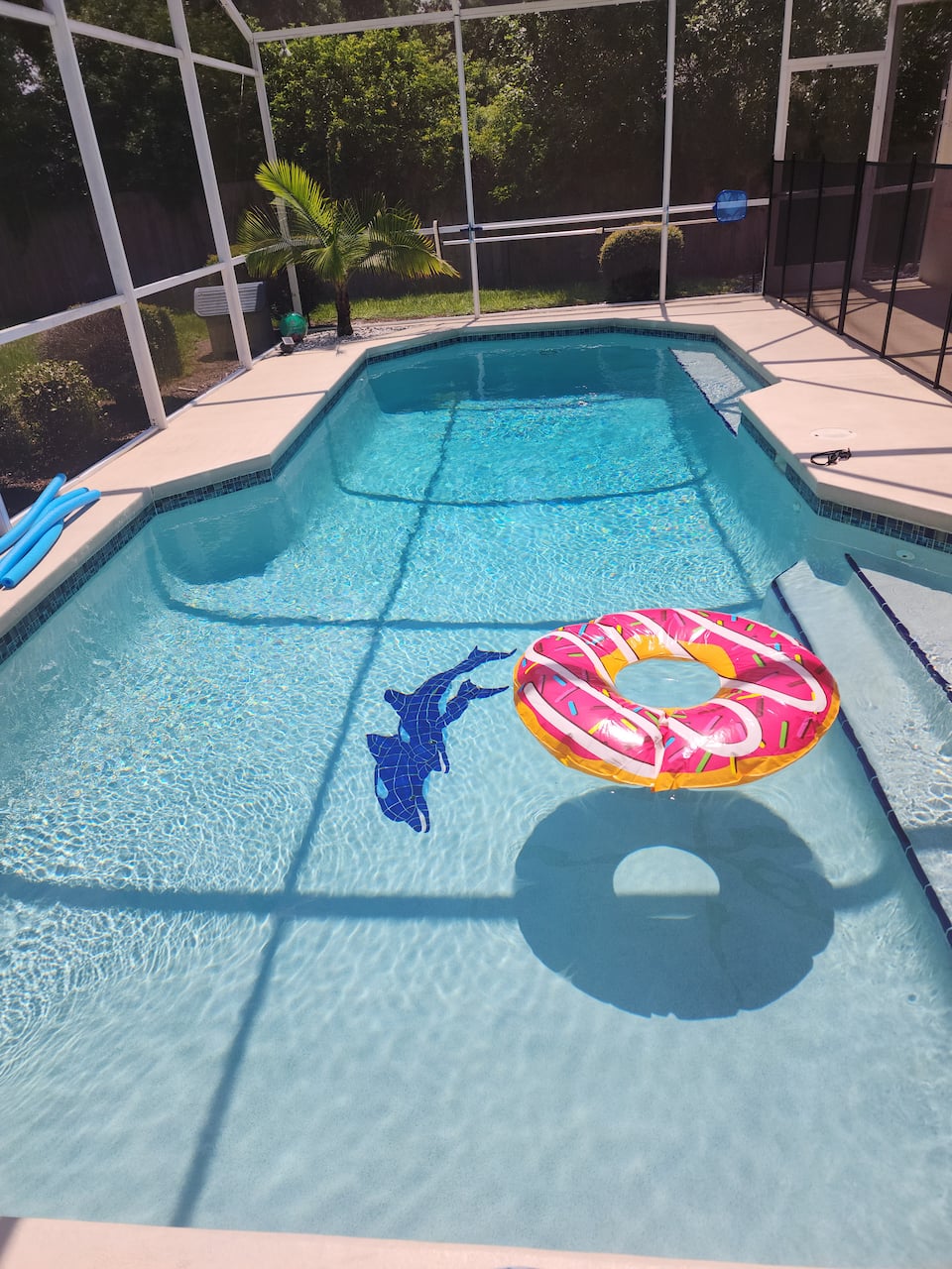 Dolphin Villa Doral Woods