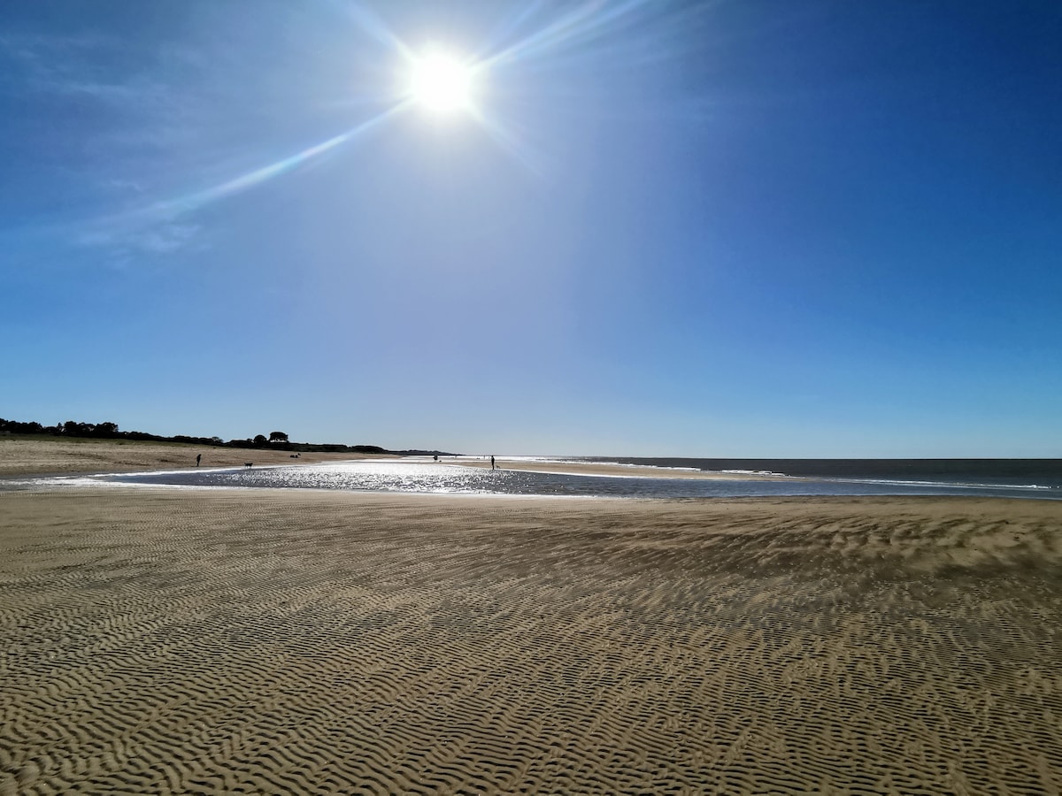 A wide sandy beach stretches under a bright sun in a clear blue sky. Gentle waves can be seen lapping at the shore, while distant figures walk along the waterline, contributing to the serene landscape.