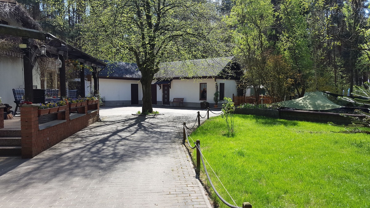 A peaceful outdoor area is shown, featuring a stone pathway leading to a cluster of buildings surrounded by trees. A grassy area is visible, with sunlight filtering through the leaves. Seating options are provided on a patio, enhancing the serene atmosphere.