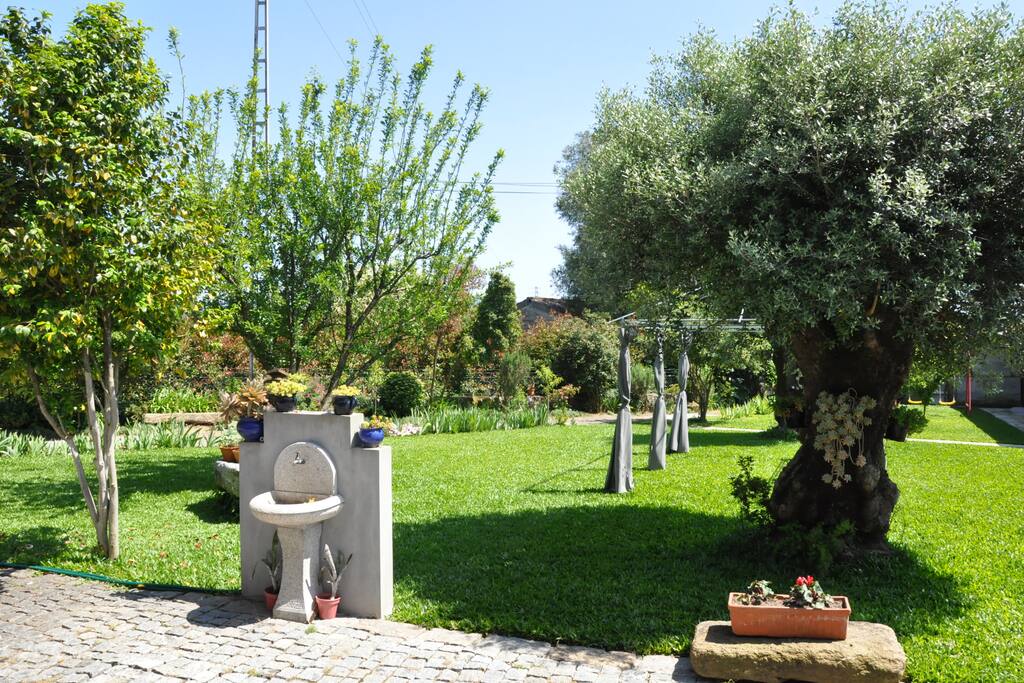 Jardim trás