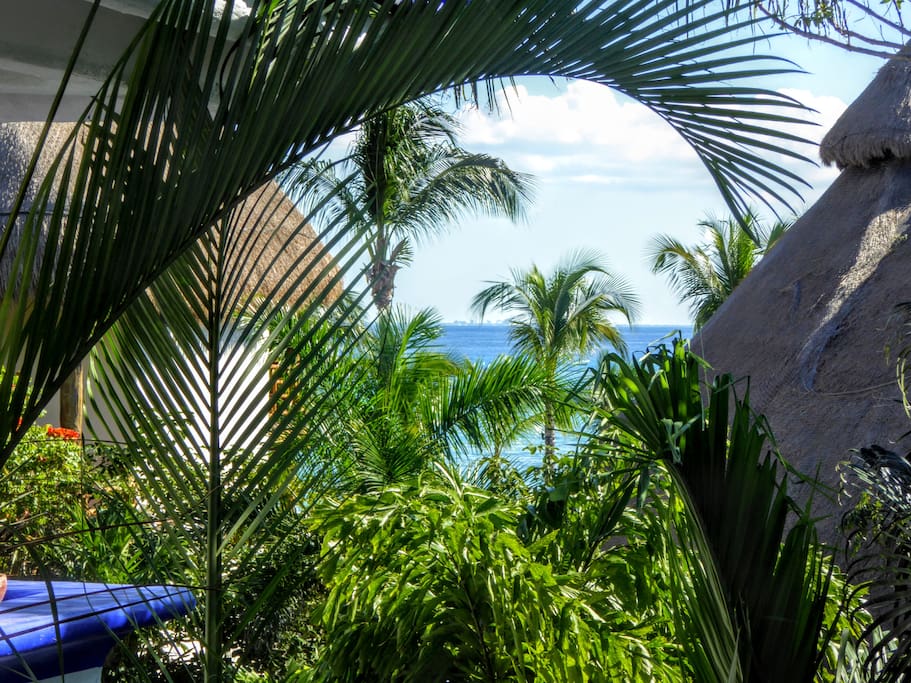 Partial Ocean View from your Terrace!