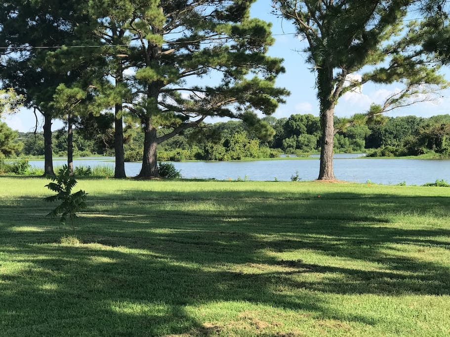 Complete privacy. Property is surrounded by private ranch and the lake. Over 2 acres of greenery around the house. No neighbors, yet close to town, shopping and restaurants.