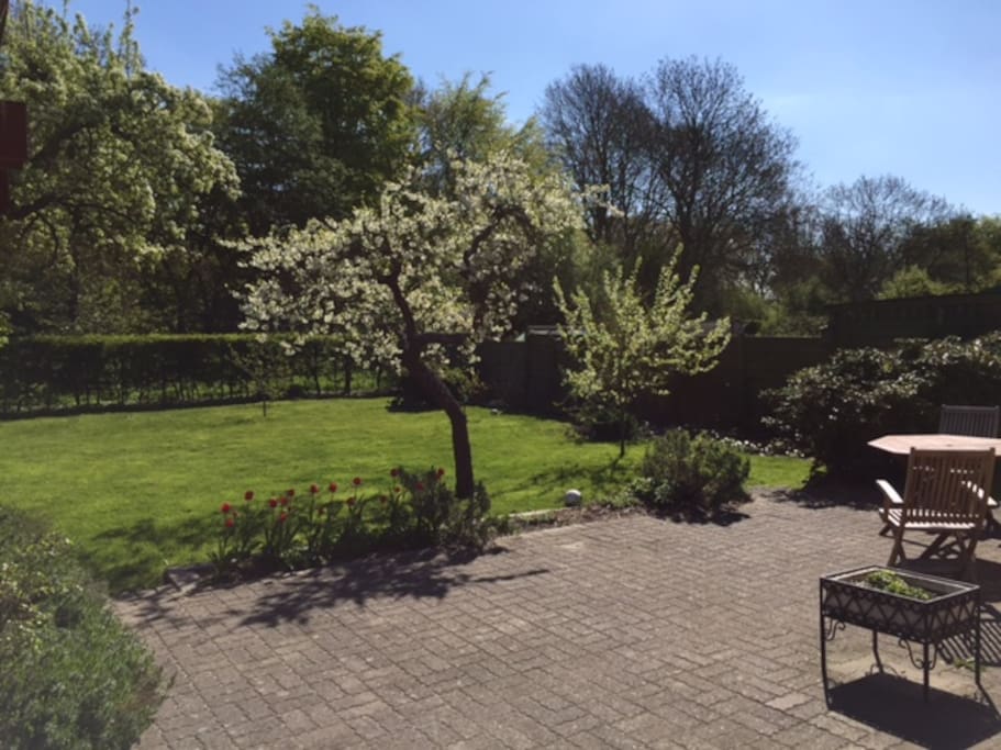 Garden at early spring time
