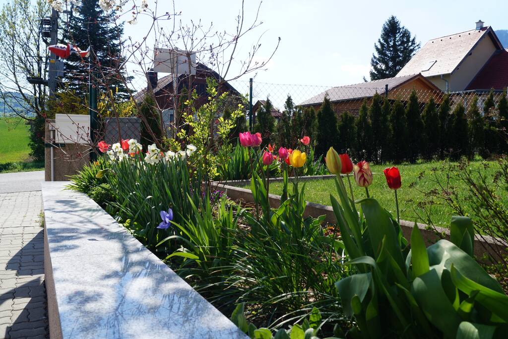 Zugang und Gartenbereich