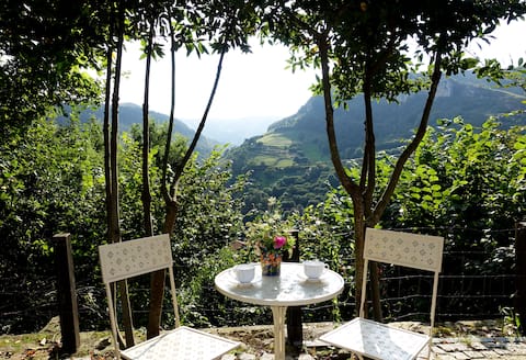 La Lastra II Cabin
Ajanedo. Com