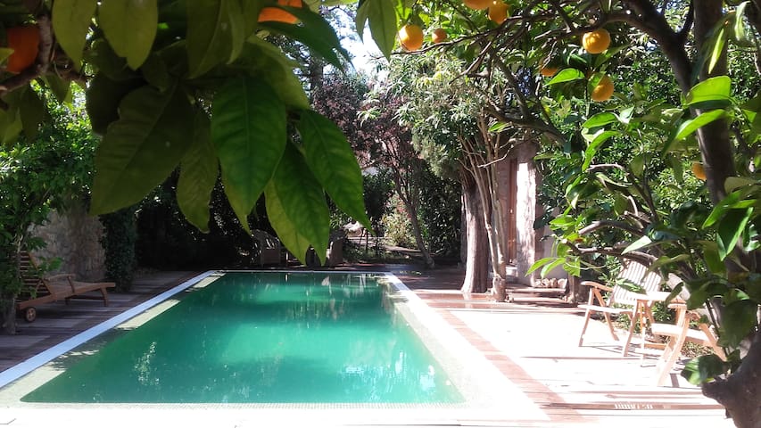 Stadthaus mit Garten und Pool in Soller- seit 2018 gallery image 3