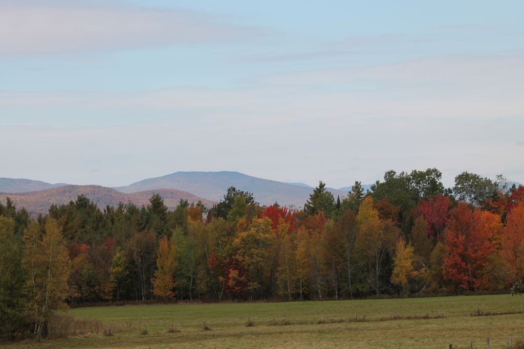 Fall View