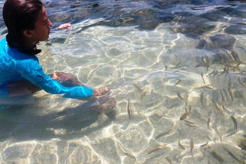 Piscinas Naturais