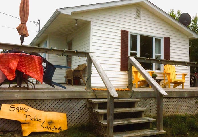 Airbnb Eastport Vacation Rentals Places To Stay