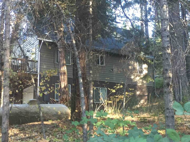 KnottyPine secluded. 20 minutes to Pinecrest. Cabins for Rent in MiWuk Village, California