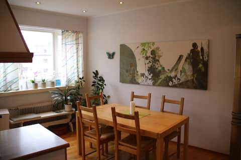 Comfortable apartment Oslo west end