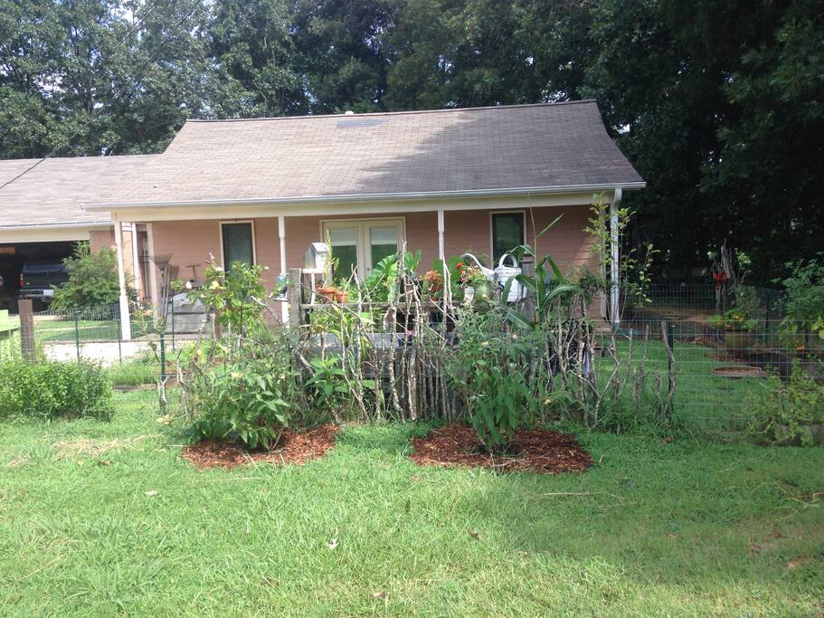 Garden area in front of pool house.