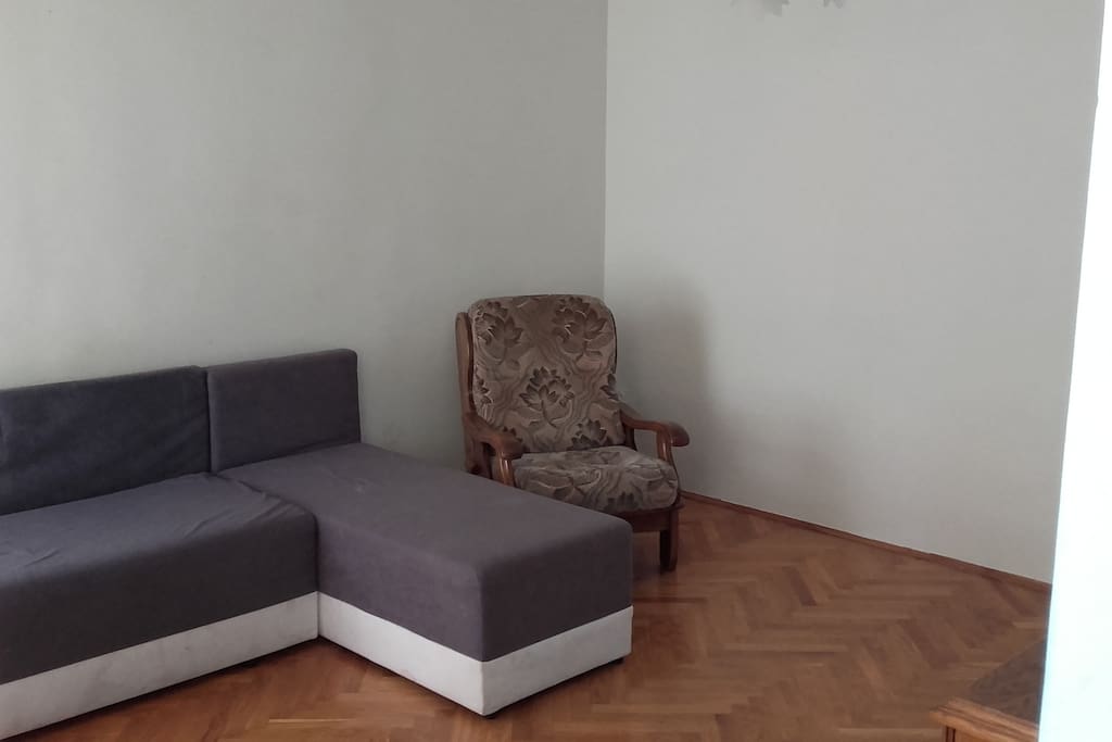 living room with sofa bed for two people