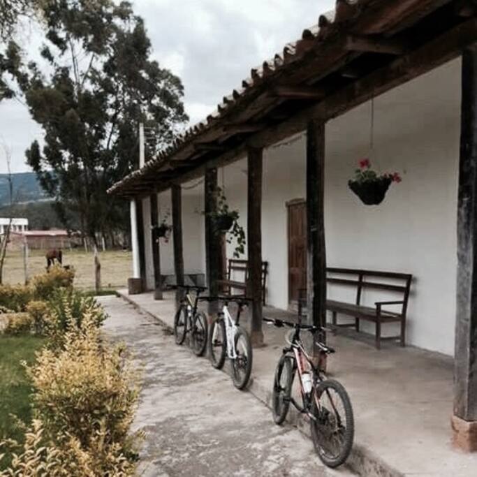 Ciclo paseos
