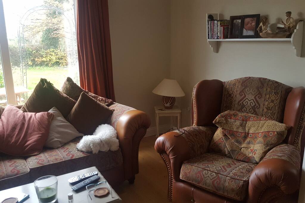 tv room