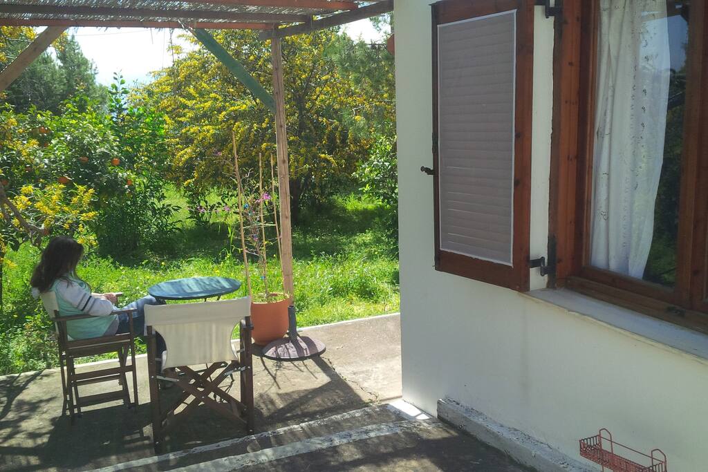 looking out from the side of the little house