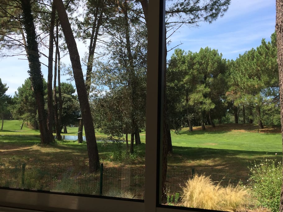 le golf, les étangs, vue depuis la fenêtre du séjour