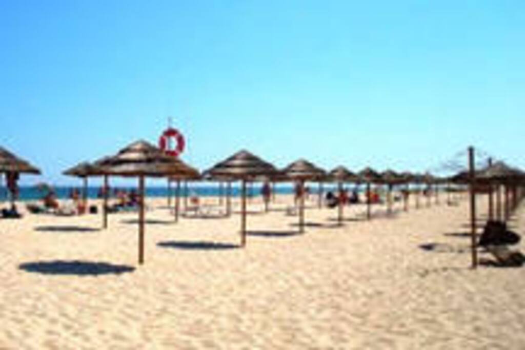 Tavira Island Beach