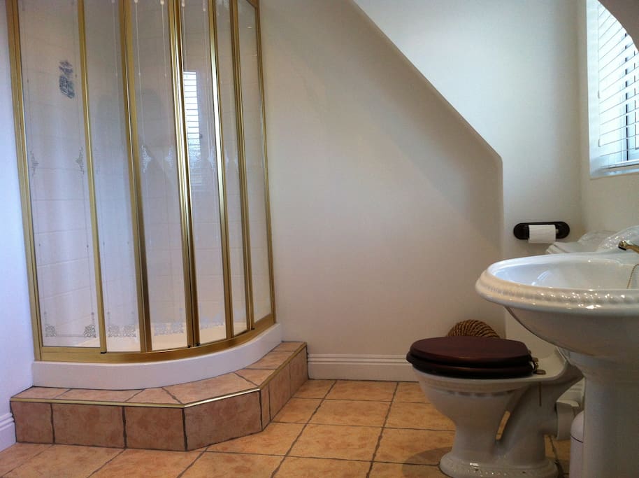 The exclusive 'king size' bathroom.