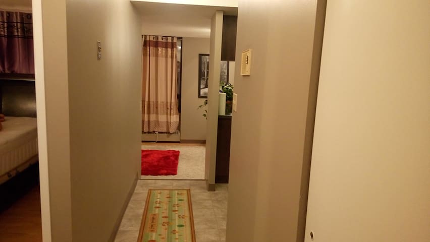 COMFY SUITE