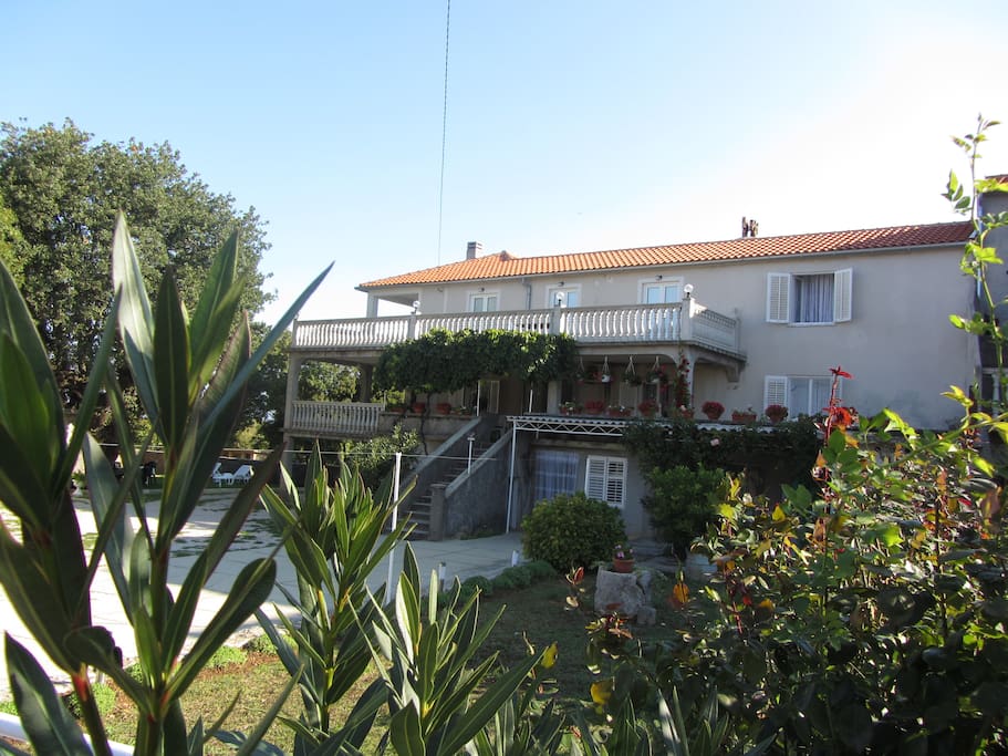 House overview