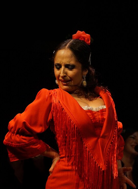 Show full-screen, host-provided image