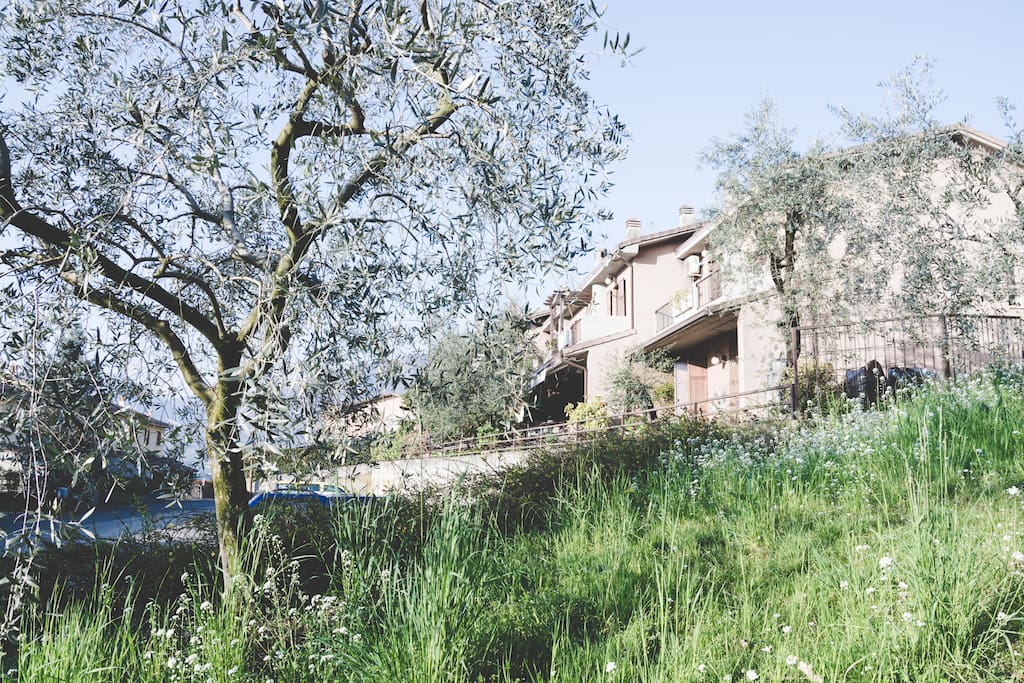 Vista della casa