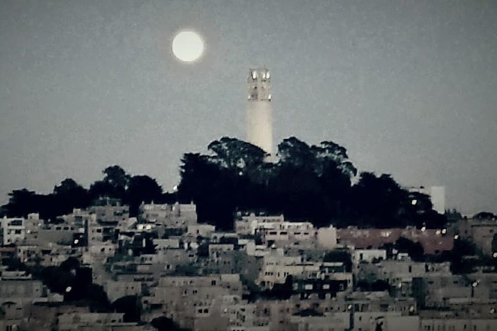 coit tower view a block away from the apartment