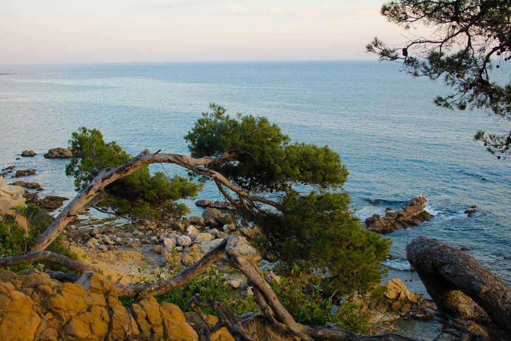 Plage Coudoulière