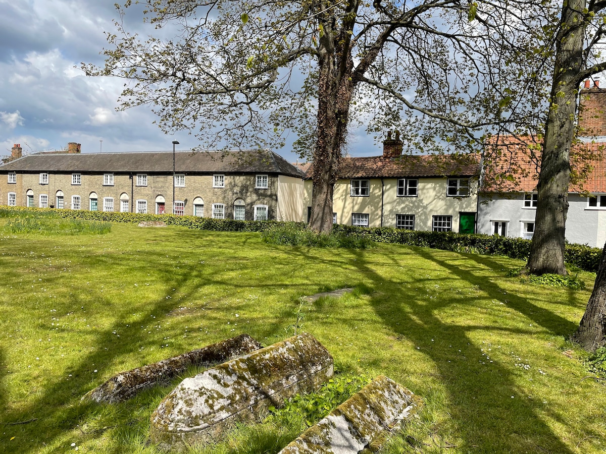 A peaceful village green is shown dotted with trees, their shadows extending across the grassy area. Historic buildings line one side, displaying varied architectural styles, while a stone feature lies in the foreground, hinting at the area's rich heritage.