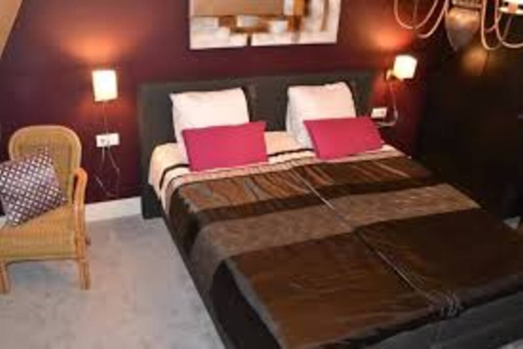 Kamer Lavendel