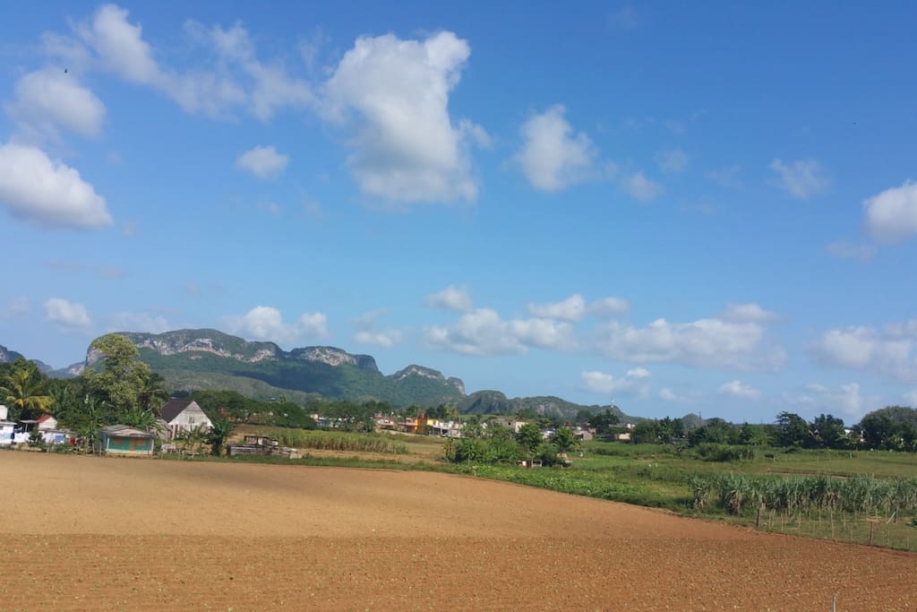 View from the roof