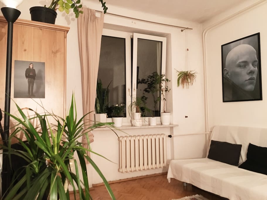 The room's current arrangement