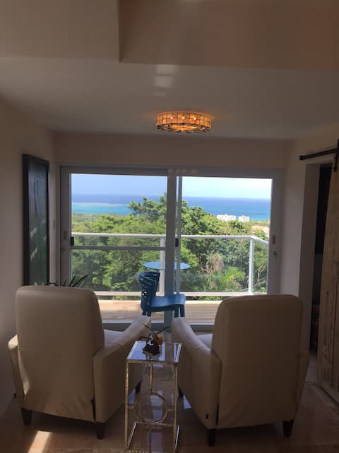 Successful Airbnb property: Ocean View/Mountain Setting 2 in Hato Candal