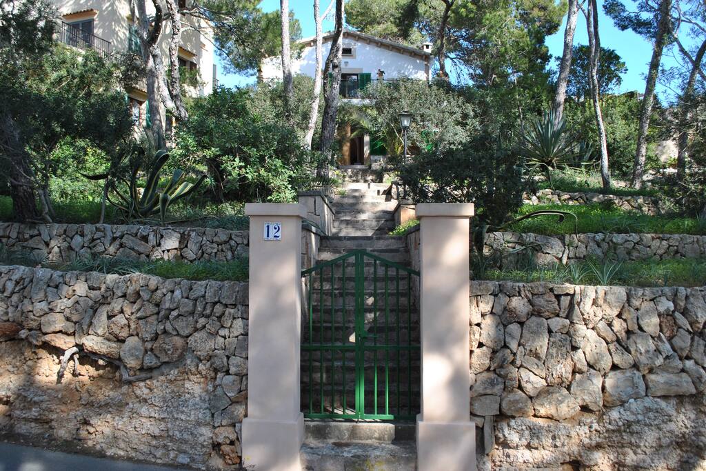 Entrada delantera. Pinar