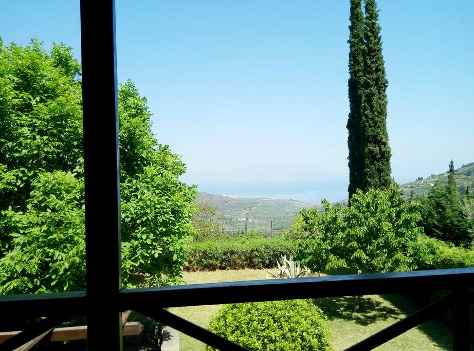 View from the house