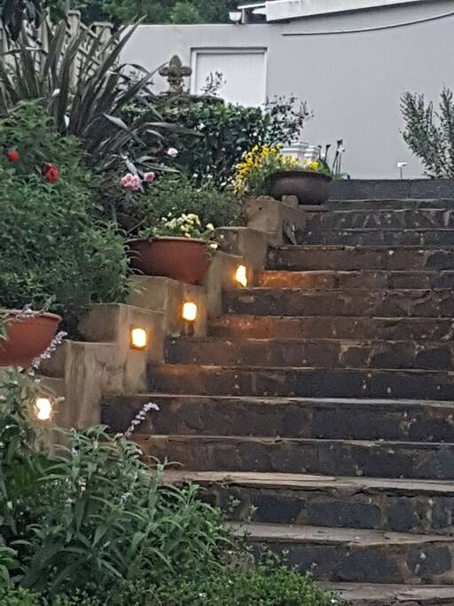 Steps leading to front door