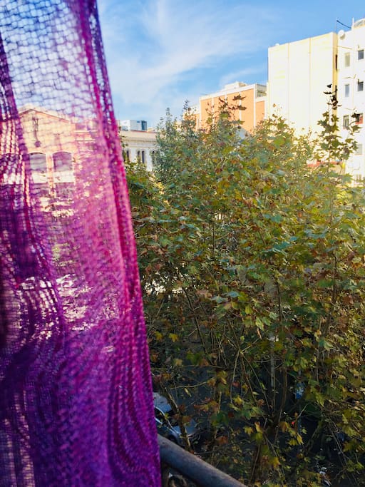 Vista ventanal de la habitación al carrer ☀️.