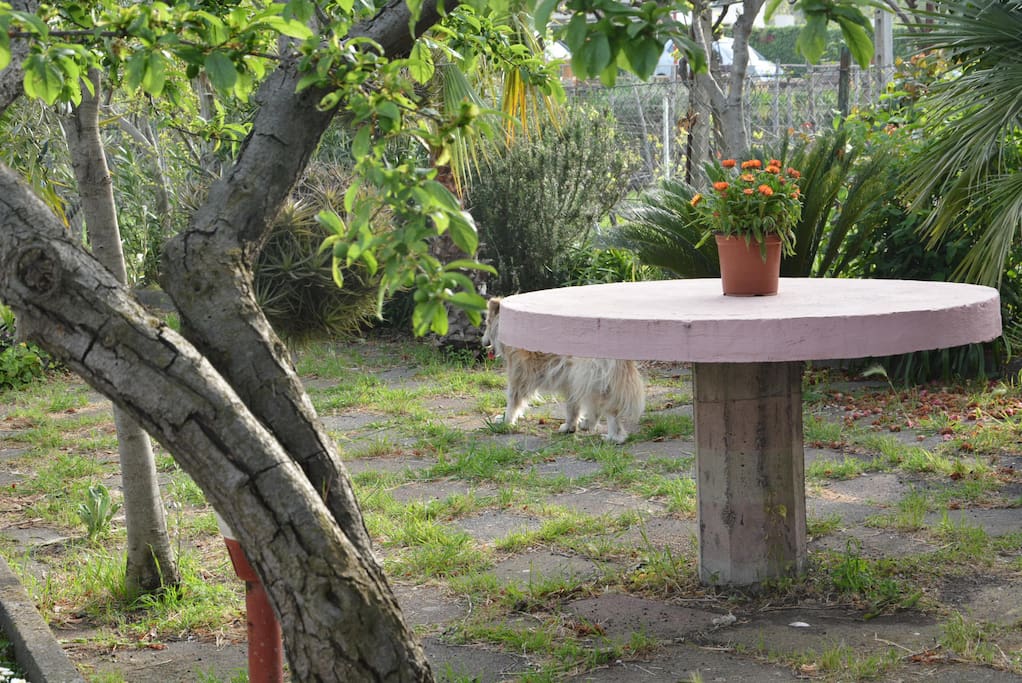 piccolo parco antistante