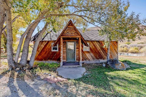 Private Upscale Wind River Fisherman's Dream Cabin