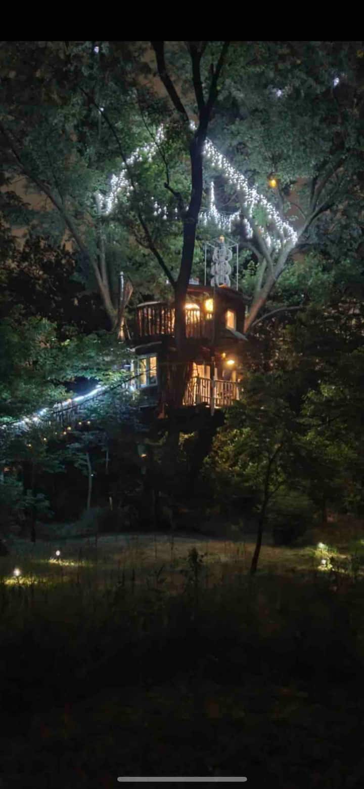 Lothlorien Tree House Treehouses for Rent in Mount Joy, Pennsylvania