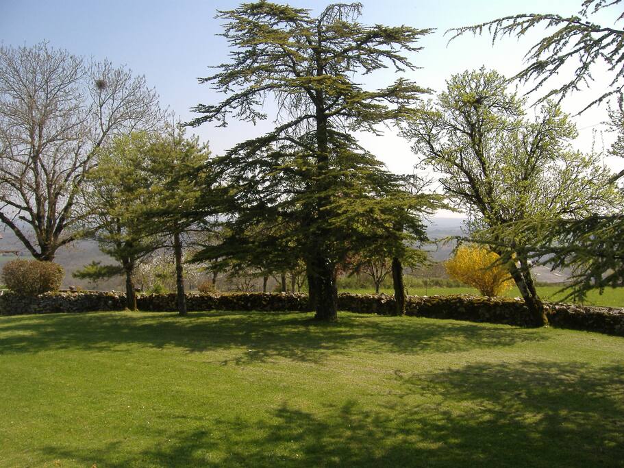 Le Jardin devant la maison