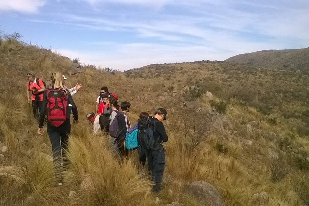 Caminatas Pastizal de Altura