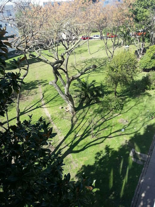 Vista al parque desde el balcón lugar para colgar ropa