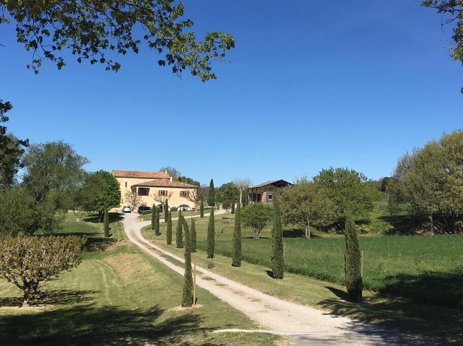 A lot of fruit trees and ornamental trees. Olive tree, apple-tree, plum-tree, fig tree, grapevine, peach-tree, mulberries ... oaks, pine trees, plane trees, cedars, lime trees, acacias...Basin with spring water, stream..