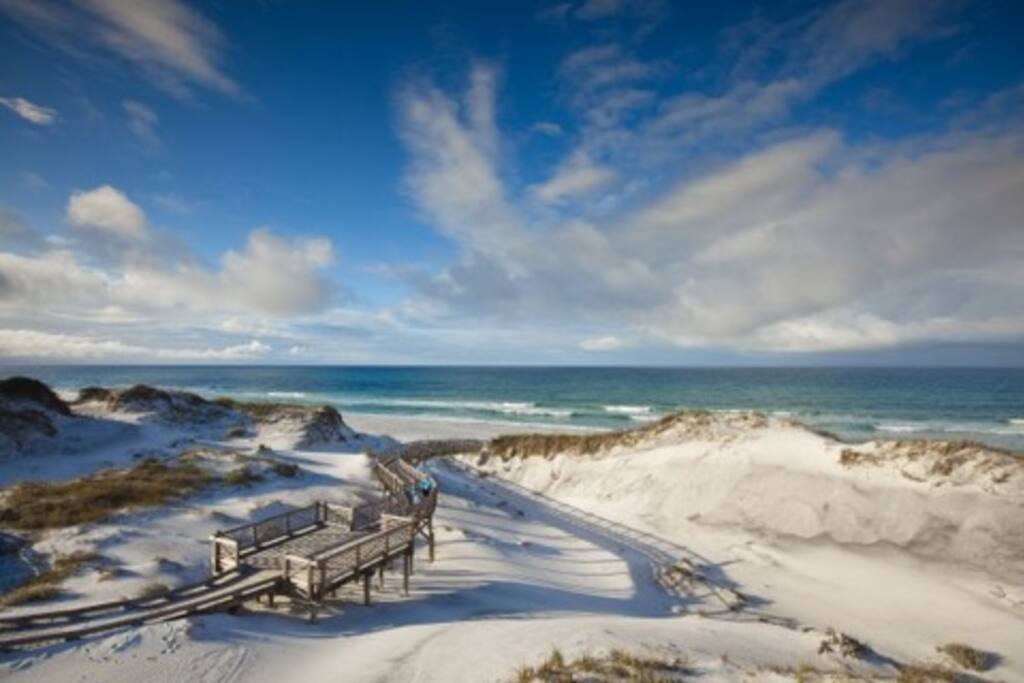 Beach DUNES