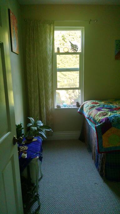 View to backyard out window.